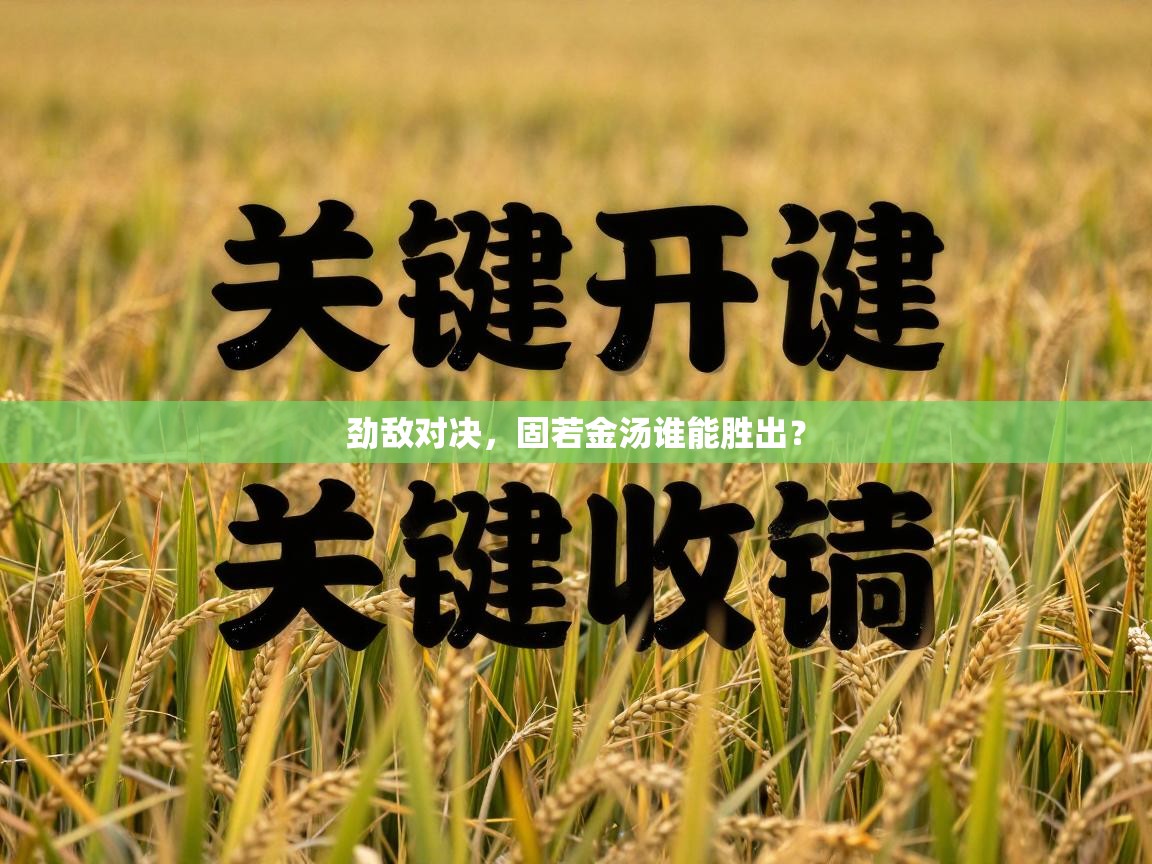 劲敌对决,固若金汤谁能胜出? 第2张