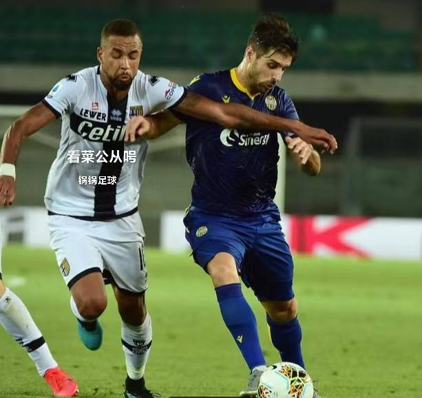 开云体育入口-帕尔马客场战平维罗纳，保级前景不稳定的简单介绍